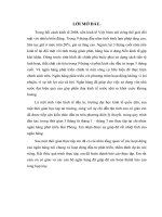 PHƯƠNG HƯỚNG HOẠT ĐỘNG CỦA NGÂN HÀNG PHÁT TRIỂN