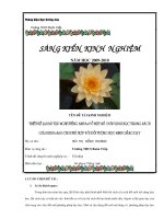 TỔ CHỨC TIẾT HOẠT ĐỘNG GIÁO DỤC NGOÀI GIỜ LÊN LỚPTHEO PHƯƠNG PHÁP  ĐỔI MỚI NHẰM NÂNG CAO CHẤT LƯỢNG