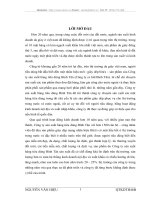 Một số giải pháp nhằm phát triển thị trường tiêu thụ sản phẩm giày dép của công ty Trách nhiệm hữu hạn sản xuất hàng tiêu dùng Bình Tân (bita's)