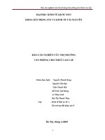 BÁO CÁO NGHIÊN CỨU THỊ TRƯỜNG VĂN PHÒNG CHO THUÊ CAO CẤP