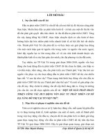 MỘT SỐ GIẢI PHÁP HOÀN THIỆN CÔNG TÁC HUY ĐỘNG VỐN ĐẦU TƯ PHÁT TRIỂN CƠ SỞ HẠ TẦNG ĐÔ THỊ TẠI TP.VIỆT TRÌ