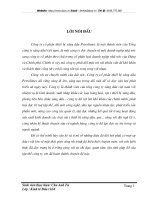 Một số giải pháp chủ yếu nhằm nâng cao hiệu quả đầu tư phát triển của công ty cố phần thiết bị xăng dầu Petrolimex