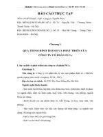 THỰC TRẠNG HOẠT ĐỘNG CỦA  CÔNG TY  CỔ PHẦN PiCo