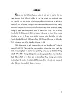 TỘI PHẠM MA TÚY.