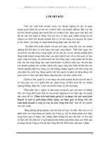 Phân tích tình hình quản lý, sử dụng vốn sản xuất kinh doanh và 1 số giải pháp nhằm nâng cao hiệu quả sử dụng vốn sản xuất kinh doanh ở công ty Cao su sao vàng Hà nội