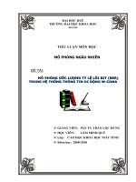 MÔ PHỎNG ƯỚC LƯỢNG TỶ LỆ LỖI BIT (BER) TRONG HỆ THỐNG THÔNG TIN DI ĐỘNG W-CDMA