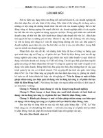 VỐN LƯU ĐỘNG VÀ MỘT SỐ BIỆN PHÁP NHẰM NÂNG CAO HIỆU QUẢ SỬ DỤNG VỐN LƯU ĐỘNG TẠI CÔNG TY CỔ PHẦN CHẾ TẠO THIẾT BỊ ĐIỆN ĐÔNG ANH