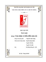 Cảm nhận và biểu diễn màu sắc