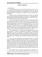 Thực trạng và những giải pháp chủ yếu để nâng cao hiệu quả kinh tế sử dụng đất canh tác ở phường Cẩm Thượng, thành phố Hải Dương