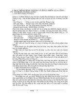 Quá trình hình thành và phát triển của công ty cổ phần Thăng Long