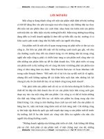 SẢN PHẨM MỚI VÀ PHÁT TRIỂN SẢN PHẨM MỚI TRONG DOANH NGHIỆP