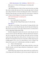 Mười vấn đề thường gặp và cách phòng tránh