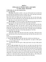 Tổng quan về đấu thầu, gói thầu và nhà thầu thm dự