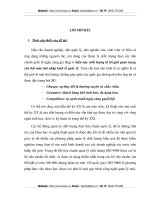 MỘT SỐ GIẢI PHÁP HOÀN THIỆN HỆ THỐNG QUẢN LÝ CHẤT LƯỢNG THEO TIÊU CHUẨN ISO 9001:2000 CỦA CÔNG TY GIẦY THƯỢNG ĐÌNH