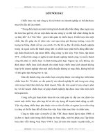 Sự phù hợp giữa cơ cấu tổ chức và chiến lược kinh doanh tại công ty điện toán và truyền số liệu VDC