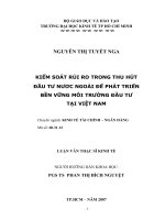50 Kiểm soát rủi ro trong thu hút đầu tư nước ngoài để phát triển bền vững môi trường đầu tư tại Việt Nam