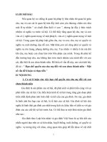 Hạn chế quyền của cha mẹ đối với con chưa thành niên – Một số vấn đề lí luận và thực tiễn