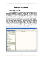 Protel Dxp 2004