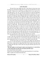 Bước đầu nghiên cứu mối quan hệ giữa sự gia tăng dân số và vấn đề bảo vệ môi trường