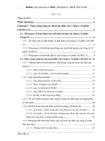 Công tác tham dự thầu tại công ty cổ phần LICOGI 13- Thực trạng và giải pháp