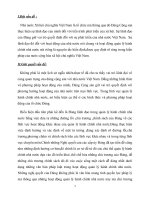 quản lý hành chính nhà nước