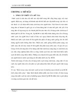 hiên trạng cung cấp nước sạch tại 1 số phường ngoại thành tại tp.Hồ Chí Minh