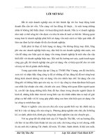 Một số giải pháp nhằm nâng cao hiệu quả sử dụng vốn tại Công ty TNHH Phú Vượng