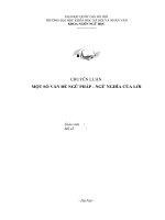 MỘT SỐ VẤN ĐỀ NGỮ PHÁP - NGỮ NGHĨA CỦA LỜI