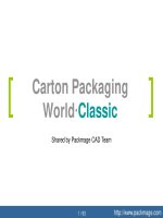 carton packaging world classic