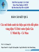 các mô hình canh tác  hiệu quả trên đất phèn vùng đệm Vồ Dơi vườn quốc gia U Minh hạ - Cà Mau