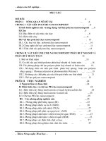 Chế tạo và khảo sát tính chất của polyme nanocompozit ít thấm khí và phân hủy nhanh dùng làm bao gói trên cơ sở polyetylen và nano clay