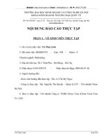 Thực trạng và giải pháp nâng cao hiệu quả bán hàng tại công ty Orion Vina.