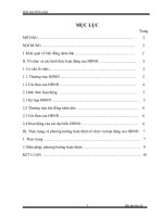 giới thiệu về Hội đồng nhân dân.