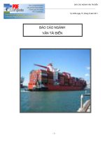 Báo cáo ngành vận tải biển