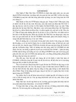 Sự vận dụng lý luận về chủ nghĩa tư bản NN ở Việt Nam hiện nay