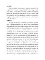 Phân chia quyền lực