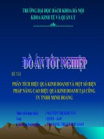 Phân tích hiệu quả kinh doanh và một số biện pháp nâng cao hiệu quả kinh doanh tại Công ty TNHH Minh Hoàng