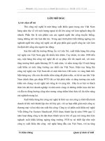 Biện pháp thúc đẩy xuất khẩu hàng thủ công mỹ nghệ tại Công ty cổ phần xuất khẩu mỹ nghệ Viễn Đông _FEH