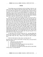 Chiến lược kinh doanh của tổng công ty xây dựng Sông Đà