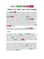 MẠNG THÔNG TIN DI ĐỘNG THEO CẤU TRÚC NGN (NGN-Mobile)