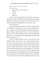 Mười trò mát mẻ có thể làm trên Internet