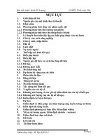 Nghiên cứu sự tác động của các yếu tố nông nghiệp, xuất nhập khẩu, dân số và nợ nước ngoài đến tổng thu nhập quốc nội (GDP) năm 2007 của 30 nước được chọn ngẫu nhiên.