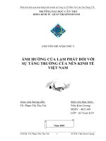 Sự ảnh hưởng của lạm phát đối với sự tăng trưởng của nền Kinh tế Việt Nam