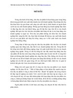 Biện pháp đẩy mạnh hoạt động tiêu thụ sản phẩm công ty điện tử Hanel