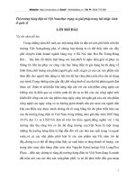 Thị trường hàng điện tử Việt Nam,thực trạng và giải pháp trong hội nhập  kinh tế quốc tế