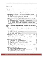 Đẩy mạnh thu hút và nâng cao hiệu quả sử dụng nguồn vốn FDI tại Viêt Nam trong bối cảnh khủng hoảng kinh tế toàn cầu