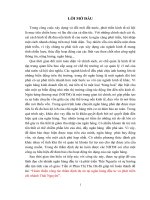 Hoàn thiện công tác thẩm định dự án tại ngân hàng đầu tư và phát triển chi nhánh Thái Nguyên