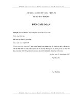 Một số giải pháp nhằm hoàn thiện công tác chuẩn bị đầu tư của các dự án FDI