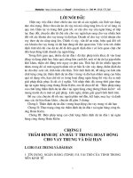 Biện pháp nâng cao chất lượng thẩm định dự án đầu tư tại ngân hàng công hoạt động công thương Hoàn Kiếm