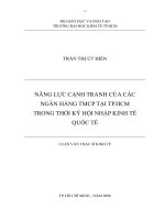 NĂNG LỰC CẠNH TRANH CỦA CÁC   NGÂN HÀNG TMCP TẠI TP.HCM TRONG THỜI KỲ HỘI NHẬP KINH TẾ QUỐC TẾ